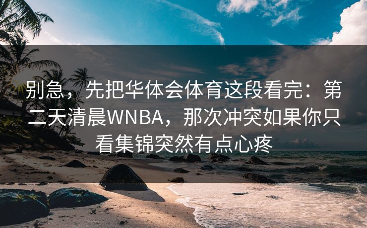 别急，先把华体会体育这段看完：第二天清晨WNBA，那次冲突如果你只看集锦突然有点心疼
